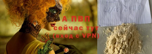 прущие грибы Зеленокумск