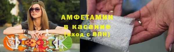 прущие грибы Зеленокумск