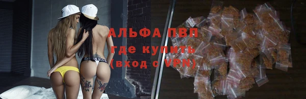прущие грибы Зеленодольск