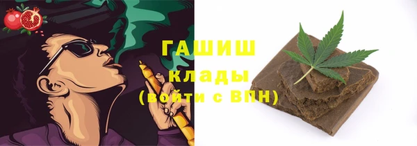прущие грибы Зеленокумск