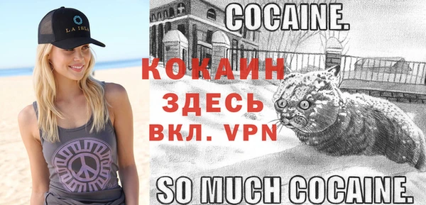 прущие грибы Зеленодольск