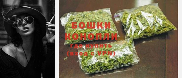 прущие грибы Зеленокумск