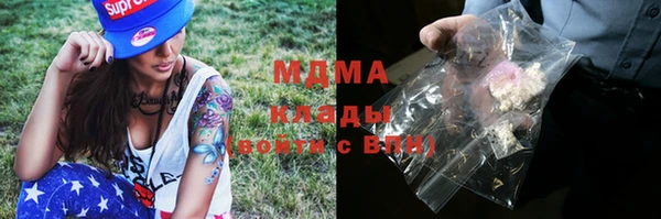 прущие грибы Зеленодольск