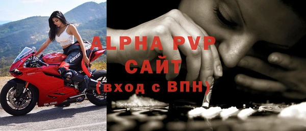 прущие грибы Зеленодольск