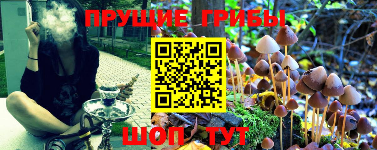 Галлюциногенные грибы Psilocybe  Вход с VPN  Тобольск 